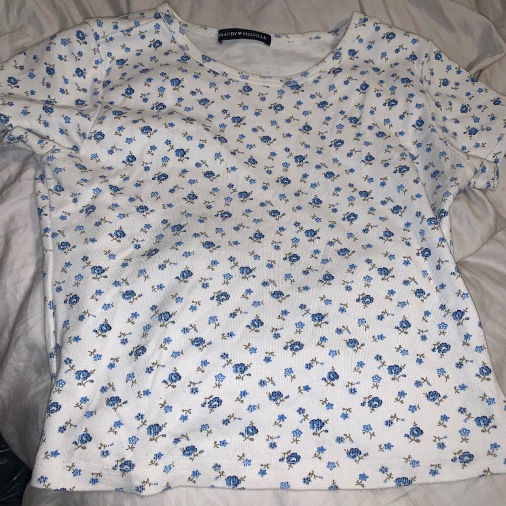 Brandy Melville floral crop top